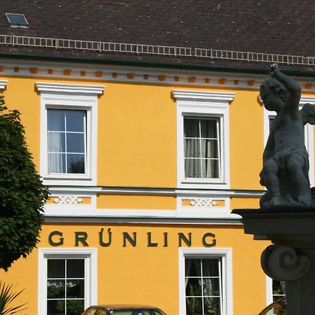 Gasthof Gruenling Wallsee Exteriör bild